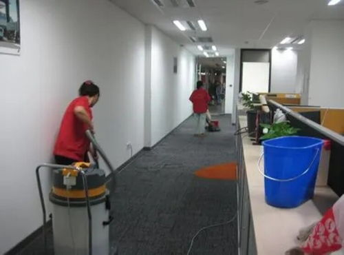 寶山開荒地毯清洗服務(wù)